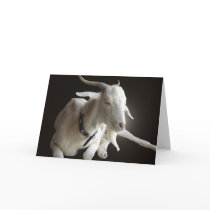 Just Billy cards by Squealia Just Billy cards