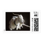 Just Billy Postage Stamps