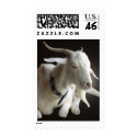 Just Billy postage