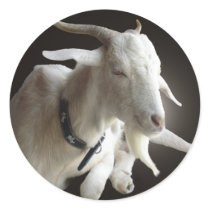 Just Billy stickers