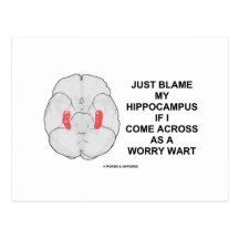 Just Blame My Hippocampus Come Across Worry Wart Post Card