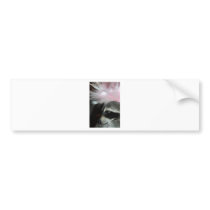 JUST BOB BUMPER STICKER