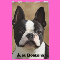 Just Bostons calendars
