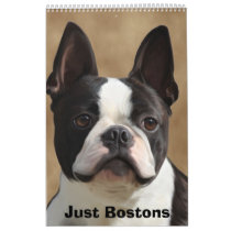 Just Bostons Wall Calendars