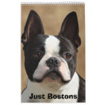 Just Bostons Wall Calendars