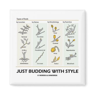 Just Budding With Style (Types Of Buds) magnet