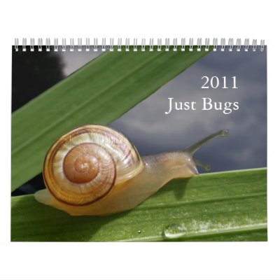 Just Bugs 2011 ~ calendar Just Bugs 2011 ~ calendar