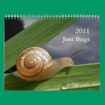 Just Bugs 2011 ~ calendar