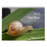 Just Bugs 2011 ~ calendar