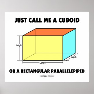Just Call Me A Cuboid Rectangular Parallelepiped Print