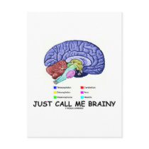 Just Call Me Brainy (Anatomical Brain Attitude) Postcard