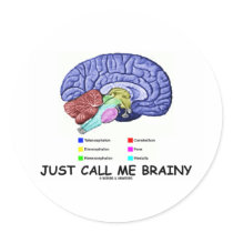 Just Call Me Brainy (Anatomical Brain Attitude) Round Stickers
