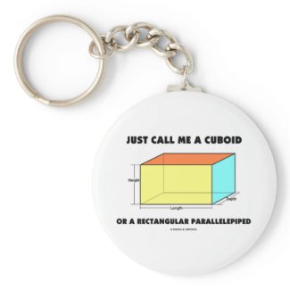 Just Call Me Cuboid Or Rectangular Parallelepiped Key Chains
