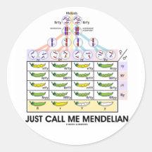 Just Call Me Mendelian (Punnett Square Genetics) Round Stickers