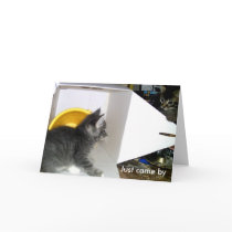"Just came by to say I care" Kitten Card by TraceElements "Just came by to say I care" Kitten Card