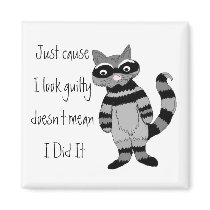 Just cause I look guilty... magnets