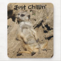 Just Chillin' Meerkat Photo Mouse Pad mousepads by BedazzledByZazzle Just Chillin' Meerkat Photo Mouse Pad mousepads