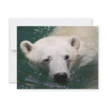 Just Chilling invitations by laureenr Just Chilling invitations