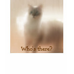 Just curious, Who's there? Tee Shirts