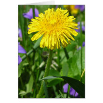 Just Dandy! cards