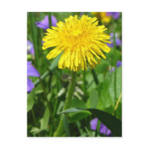 Just Dandy! postcards