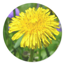 Just Dandy! stickers