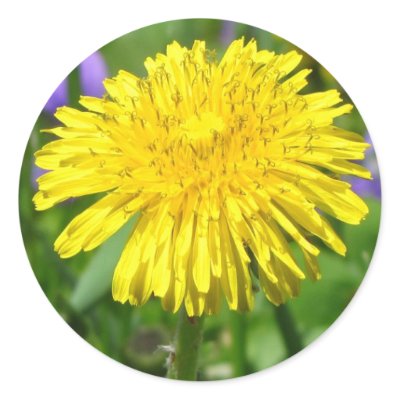 Just Dandy! Stickers by RabidBushbaby