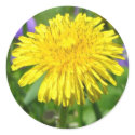 Just Dandy! stickers by RabidBushbaby Just Dandy! stickers
