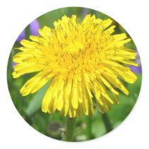 Just Dandy! stickers