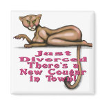 Just Divorced Magnets