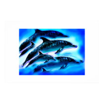 JUST DOLPHINS posters