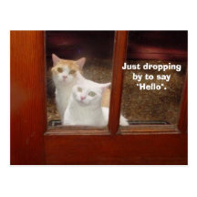 Just Dropping By Post Cards