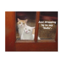 Just Dropping By postcards by myrtieshuman Just Dropping By postcards