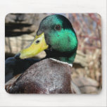 Just Ducky Mousepads
