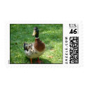 just ducky postage
