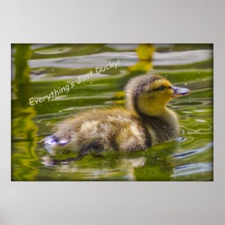 Just Ducky Poster print