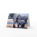 JUST ELEPHANTS cards