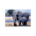 JUST ELEPHANTS posters