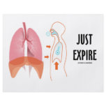 Just Expire (Health / Medicine / Anatomy Humor) flyers