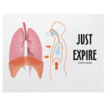 Just Expire (Health / Medicine / Anatomy Humor) Letterhead Template