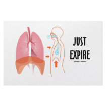 Just Expire (Health / Medicine / Anatomy Humor) stationery by wordsunwords Just Expire (Health / Medicine / Anatomy Humor) stationery