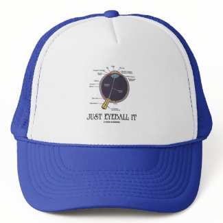 Just Eyeball It (Eye Anatomy Approximation Saying) hat