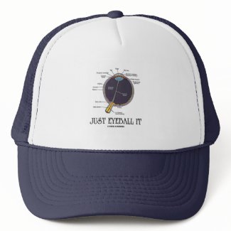 Just Eyeball It (Eye Anatomy Approximation Saying) hat