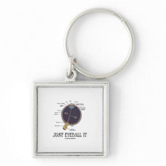 Just Eyeball It (Eye Anatomy Approximation Saying) keychain