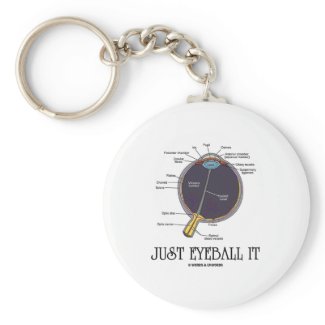 Just Eyeball It (Eye Anatomy Approximation Saying) keychain