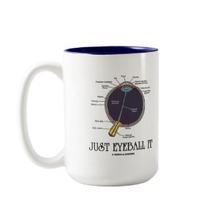 Just Eyeball It (Eye Anatomy Approximation Saying) mug