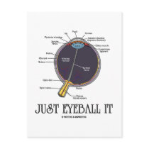 Just Eyeball It (Eye Anatomy Approximation Saying) Post Card