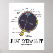 Just Eyeball It (Eye Anatomy Approximation Saying) Posters