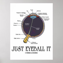 Just Eyeball It (Eye Anatomy Approximation Saying) Posters