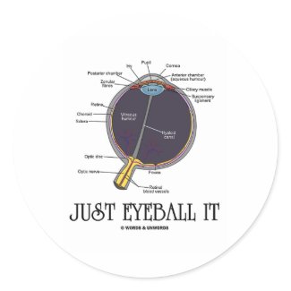 Just Eyeball It (Eye Anatomy Approximation Saying) sticker
